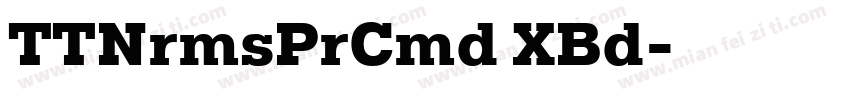 TTNrmsPrCmd XBd字体转换